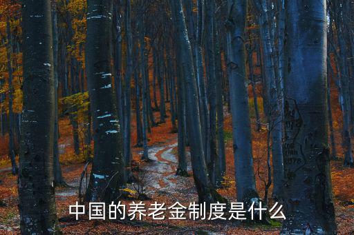 中國的養老金制度是什么