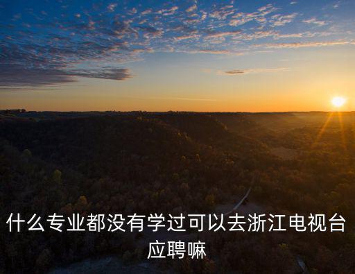 什么專業(yè)都沒有學(xué)過可以去浙江電視臺應(yīng)聘嘛