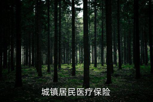 城鎮居民醫療保險
