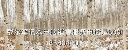 戴爾筆記本電腦銷售服務電話是8008580410