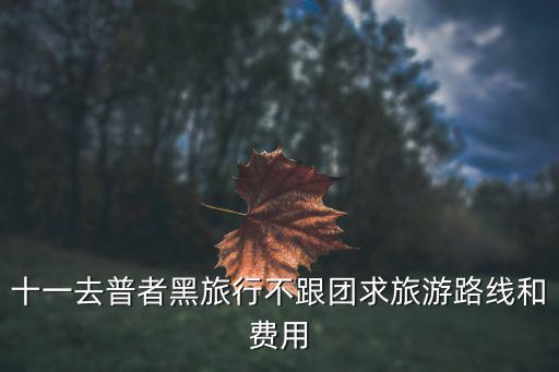 十一去普者黑旅行不跟團求旅游路線和費用