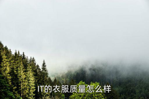 IT的衣服質(zhì)量怎么樣