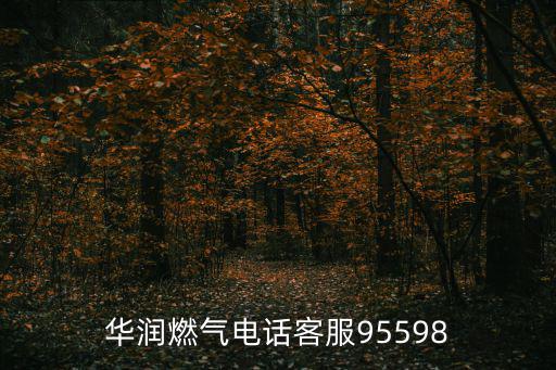 華潤燃氣電話客服95598