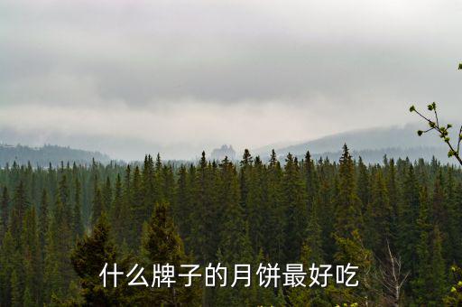 什么牌子的月餅最好吃