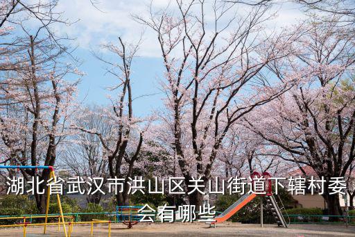 湖北省武漢市洪山區(qū)關(guān)山街道下轄村委會有哪些