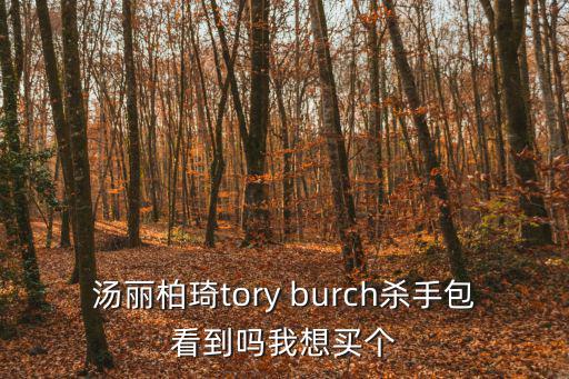 湯麗柏琦tory burch殺手包看到嗎我想買個
