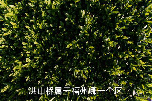 洪山橋?qū)儆诟Ｖ菽囊粋€區(qū)