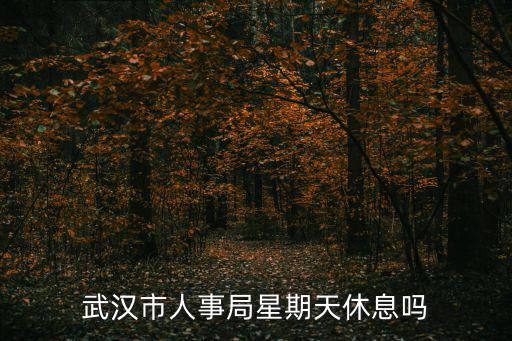 武漢市人事局星期天休息嗎
