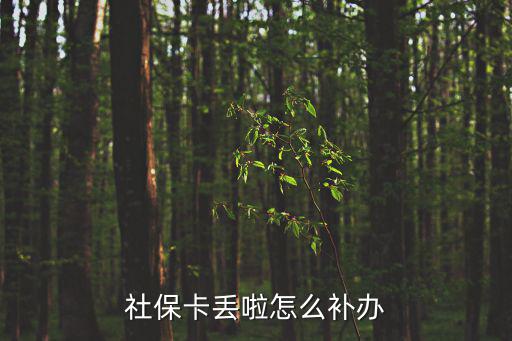 社保卡丟啦怎么補辦