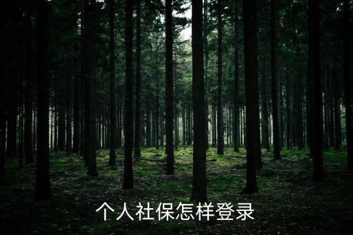 個人社保怎樣登錄