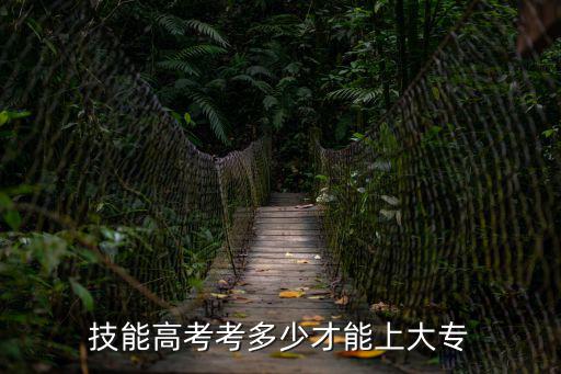 技能高考考多少才能上大專