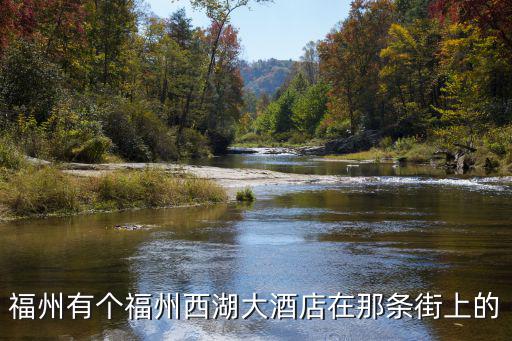 福州有個福州西湖大酒店在那條街上的