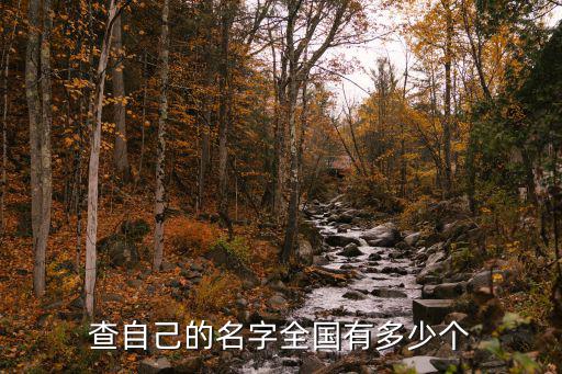 查自己的名字全國有多少個