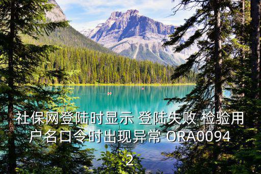 社保網登陸時顯示 登陸失敗 檢驗用戶名口令時出現異常 ORA00942