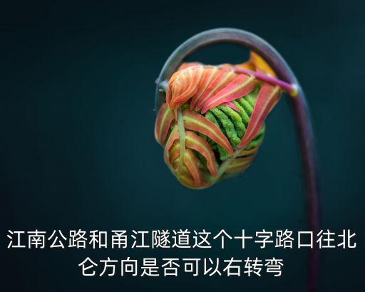 江南公路和甬江隧道這個十字路口往北侖方向是否可以右轉彎