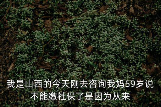 我是山西的今天剛?cè)プ稍兾覌?9歲說不能繳社保了是因為從來