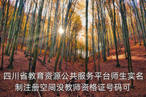 四川省教育資源公共服務平臺師生實名制注冊空間沒教師資格證號碼可