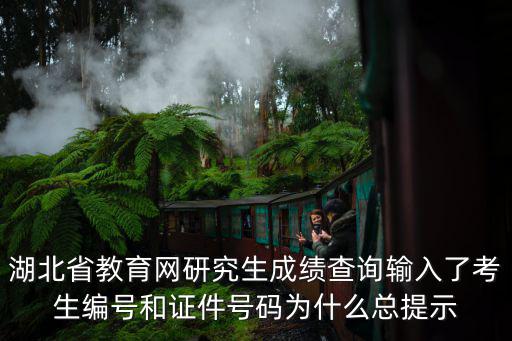 湖北省教育網研究生成績查詢輸入了考生編號和證件號碼為什么總提示
