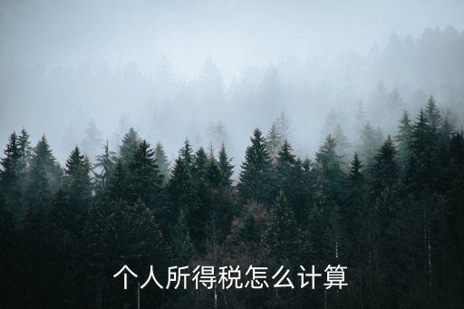 個人所得稅怎么計算