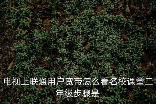 電視上聯通用戶寬帶怎么看名校課堂二年級步驟是