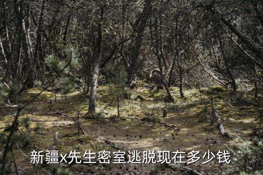 新疆x先生密室逃脫現(xiàn)在多少錢