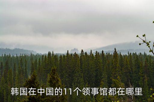 韓國(guó)領(lǐng)事館，韓國(guó)領(lǐng)事館剛剛打電話又叫加微信咨詢材料是不是真的領(lǐng)事館
