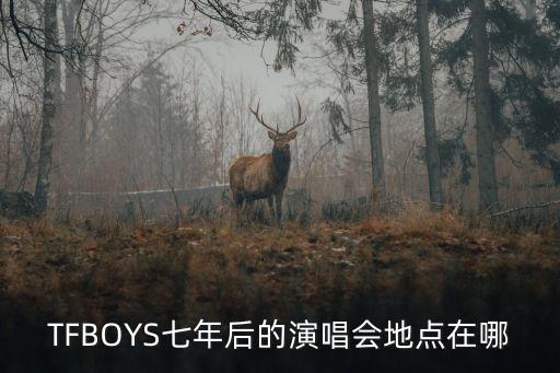 TFBOYS七年后的演唱會地點在哪