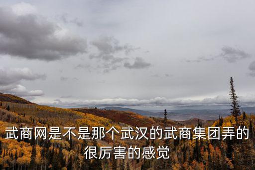 武商網是不是那個武漢的武商集團弄的很厲害的感覺