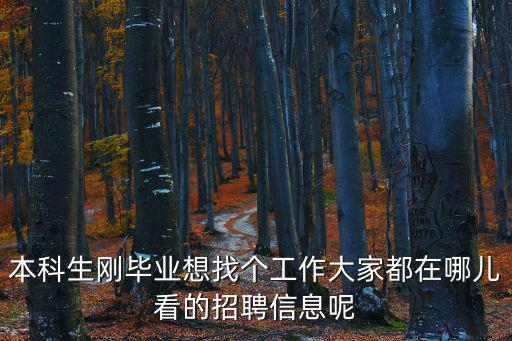 本科生剛畢業想找個工作大家都在哪兒看的招聘信息呢
