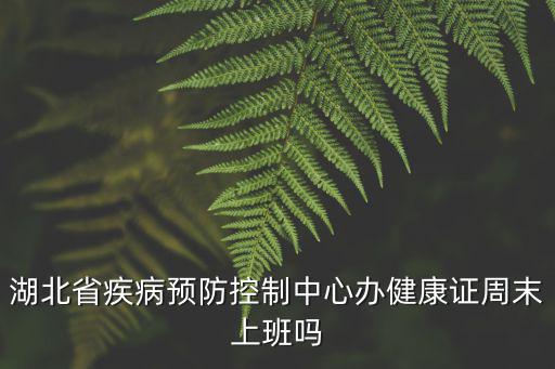 湖北省疾病預防控制中心辦健康證周末上班嗎