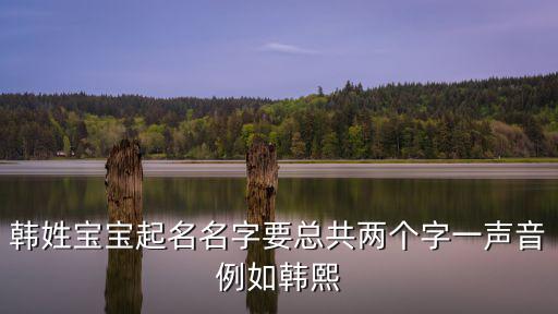 韓姓寶寶起名名字要總共兩個字一聲音例如韓熙