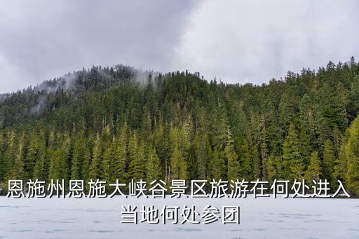 恩施州恩施大峽谷景區(qū)旅游在何處進(jìn)入當(dāng)?shù)睾翁巺F(tuán)