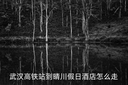 武漢高鐵站到晴川假日酒店怎么走