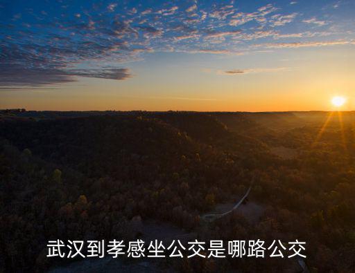 武漢到孝感坐公交是哪路公交