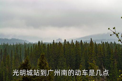光明城站到廣州南的動車是幾點
