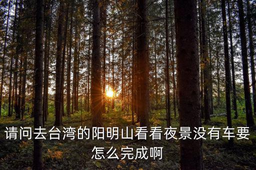請問去臺灣的陽明山看看夜景沒有車要怎么完成啊