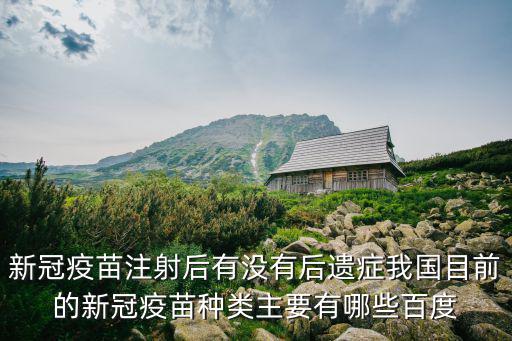 新冠疫苗注射后有沒有后遺癥我國目前的新冠疫苗種類主要有哪些百度