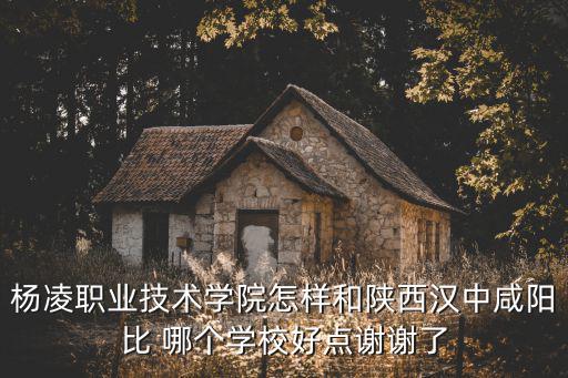 楊凌職業(yè)技術學院，楊凌職業(yè)技術學院怎樣和陜西漢中咸陽比 哪個學校好點謝謝了