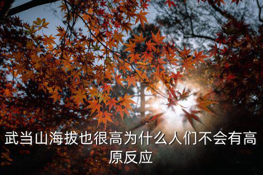 武當(dāng)山海拔也很高為什么人們不會有高原反應(yīng)