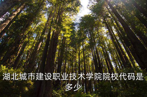 湖北城市建設職業(yè)技術學院院校代碼是多少