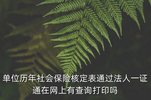 單位歷年社會保險核定表通過法人一證通在網(wǎng)上有查詢打印嗎