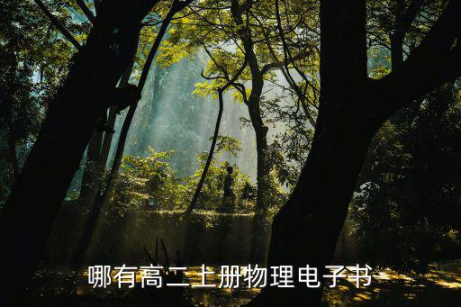 哪有高二上冊(cè)物理電子書