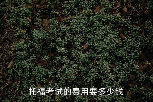 托福考試的費(fèi)用要多少錢