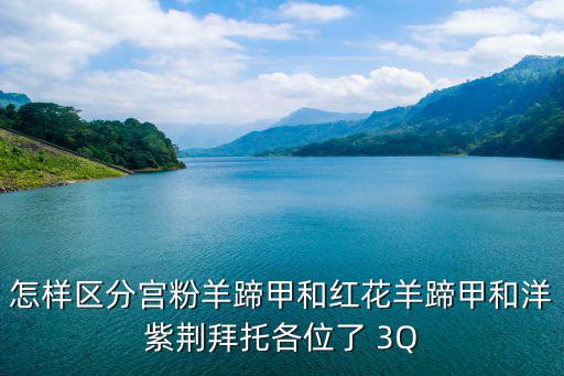 怎樣區(qū)分宮粉羊蹄甲和紅花羊蹄甲和洋紫荊拜托各位了 3Q