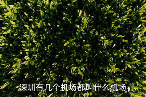 深圳有幾個(gè)機(jī)場(chǎng)都叫什么機(jī)場(chǎng)