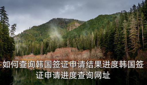如何查詢韓國簽證申請結果進度韓國簽證申請進度查詢網址