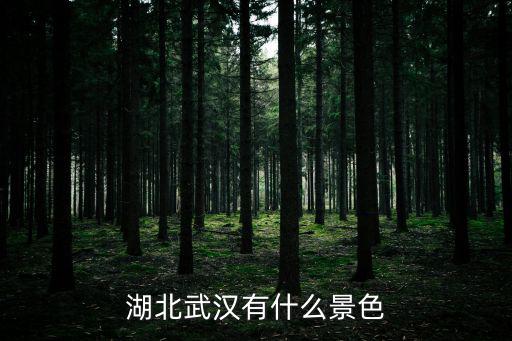 湖北武漢有什么景色