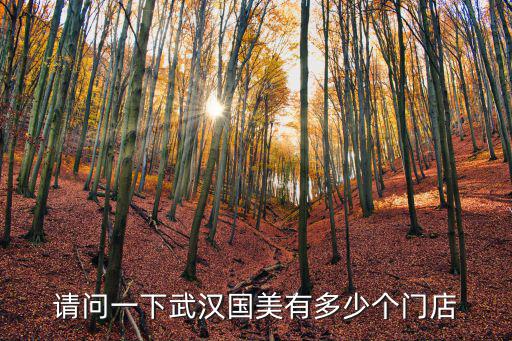 武漢國美，武漢國美001和維佳001哪個強