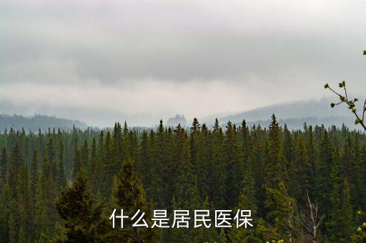 什么是居民醫保