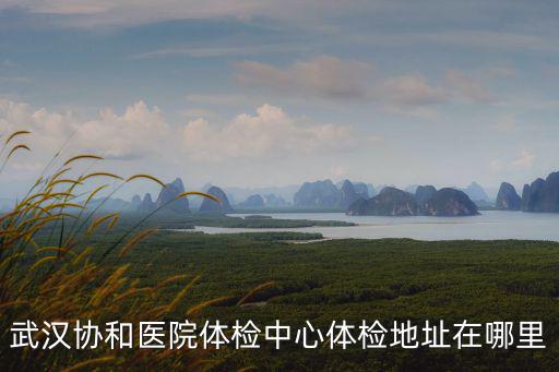 武漢協和醫院體檢中心體檢地址在哪里